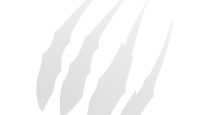 LogoCard